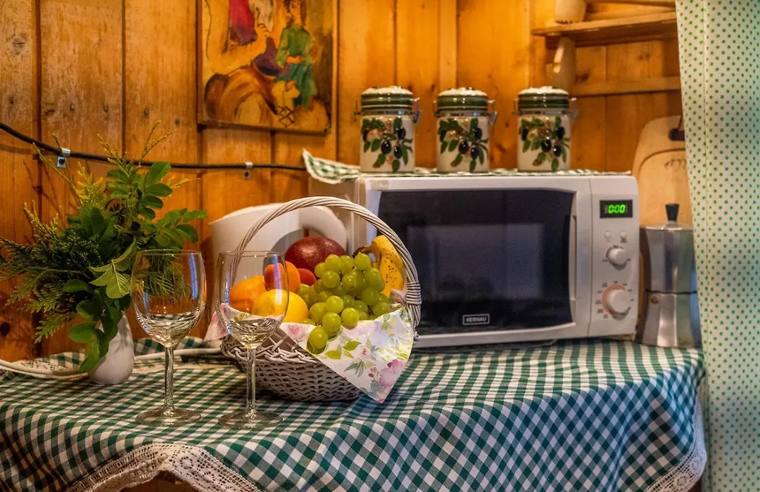 Pokoje z widokiem na góry i Prywatny Domek z zadaszoną altaną - grillem i ogniskiem.-1